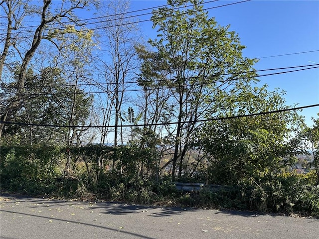 0 Overlook Ave, Staten Island NY, 10304 land for sale