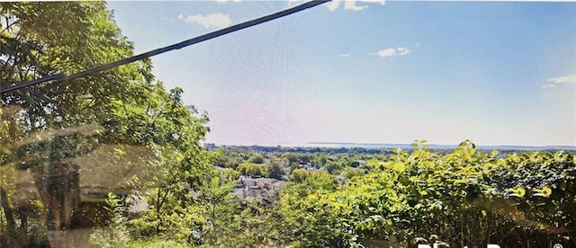 Listing photo 3 for 0 Overlook Ave, Staten Island NY 10304