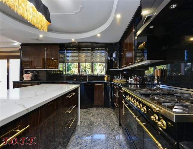 kitchen featuring dark brown cabinets, a tray ceiling, sink, stone countertops, and range with two ovens