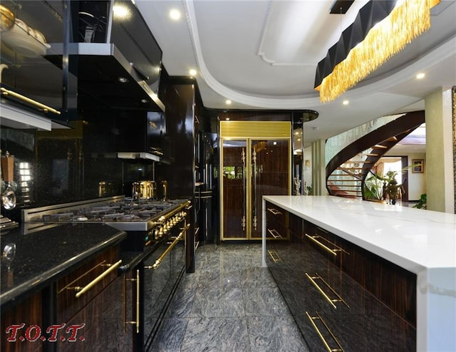 kitchen with a tray ceiling and premium appliances