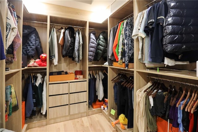 walk in closet featuring wood finished floors