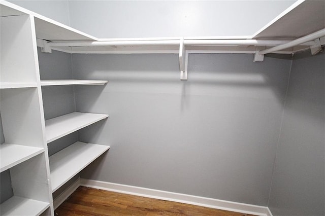 spacious closet featuring dark hardwood / wood-style floors