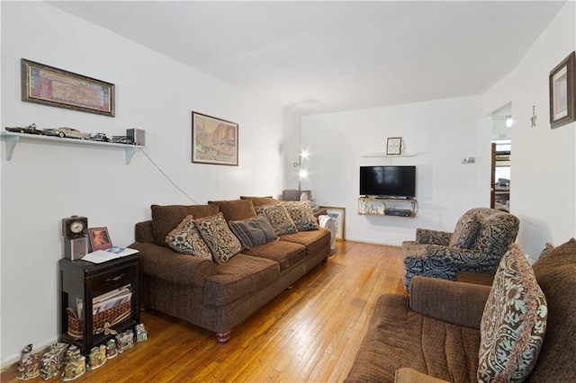 living room with wood-type flooring