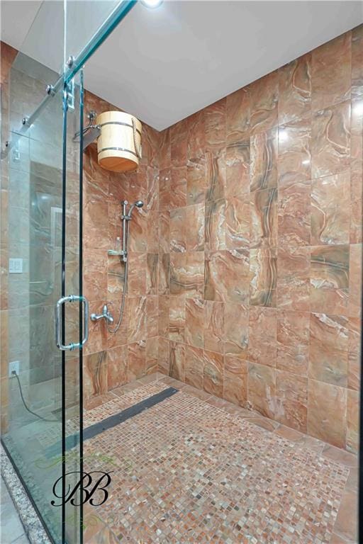 bathroom featuring a shower with shower door