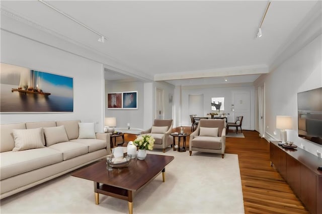 living area featuring rail lighting and wood finished floors