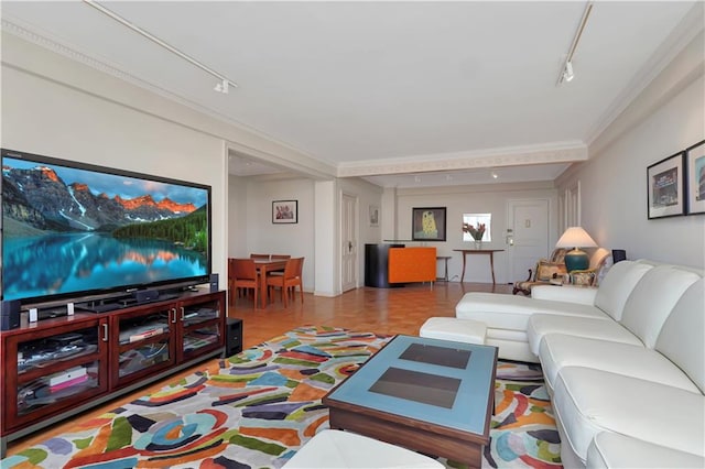 living area with crown molding and track lighting