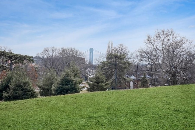 6665 Colonial Rd Unit 2F, Brooklyn, NY 11220 - view of green lawn