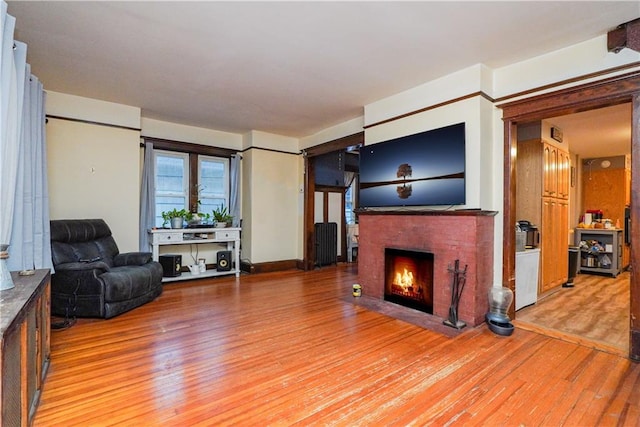 living room with a fireplace and hardwood / wood-style floors