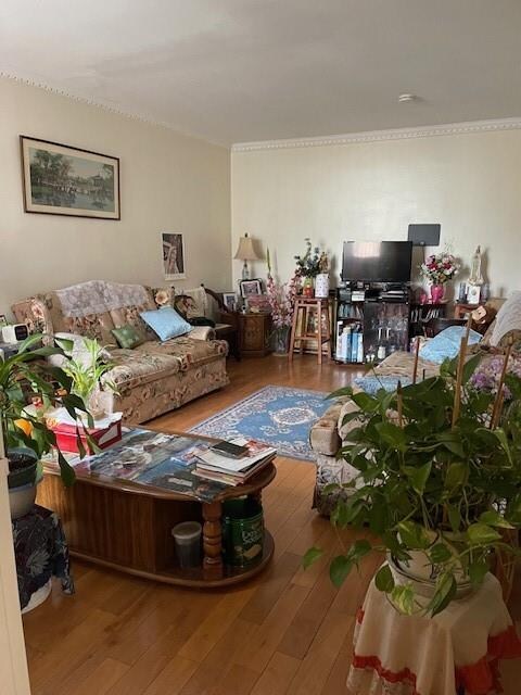 living room with ornamental molding and wood-type flooring