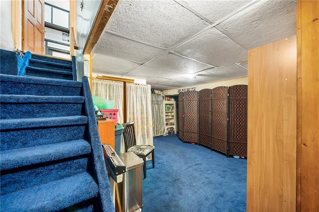 basement featuring carpet floors