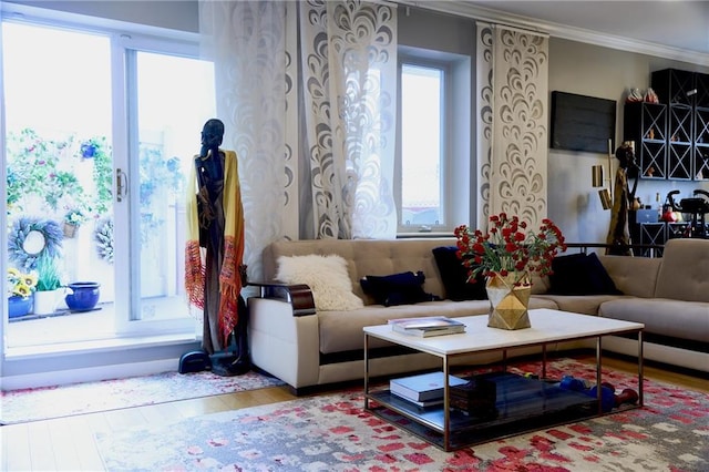 living room featuring crown molding and hardwood / wood-style flooring