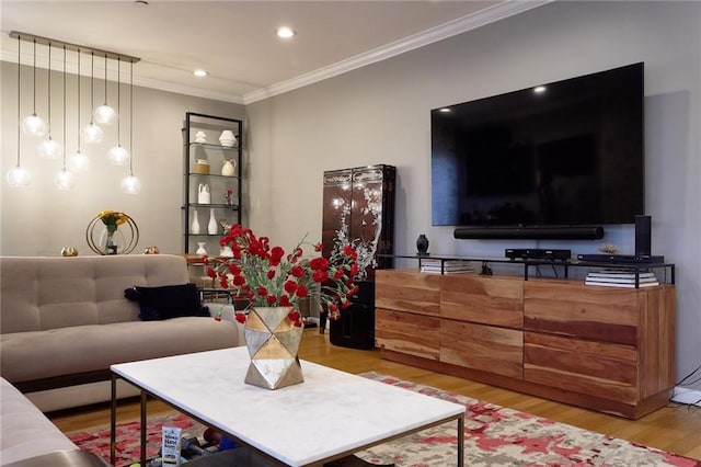 living room featuring crown molding and light hardwood / wood-style flooring