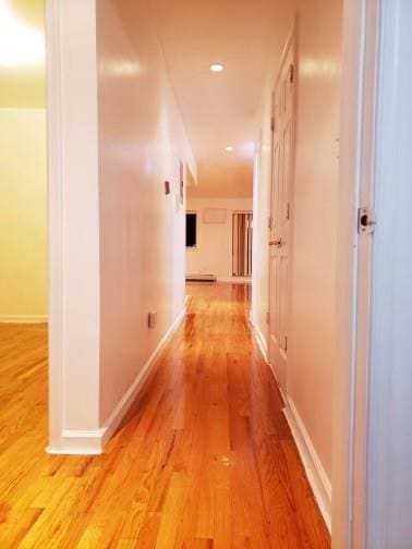 hallway featuring wood-type flooring