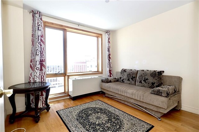 living area featuring hardwood / wood-style flooring and radiator