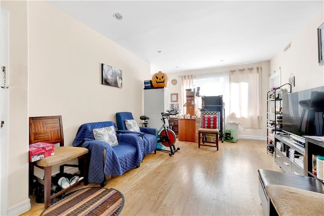 living room featuring light wood-type flooring