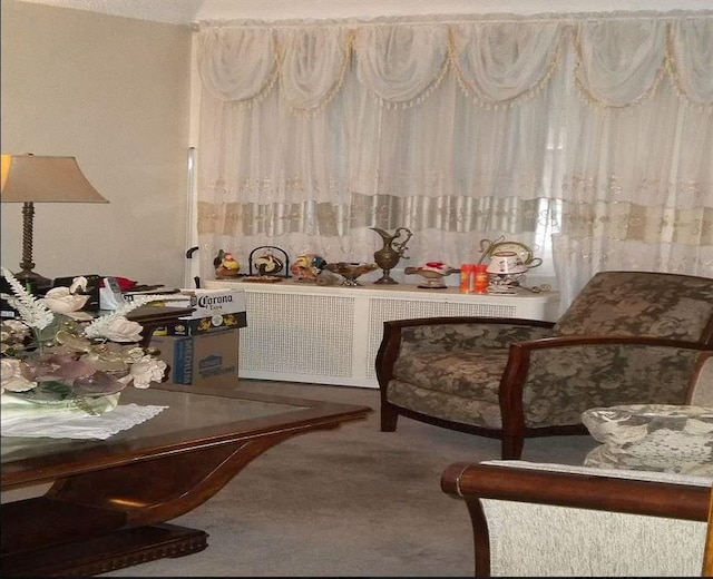 living area with carpet floors