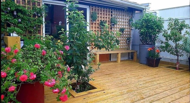 view of wooden terrace