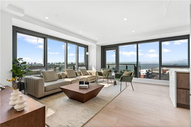 living room with light wood-type flooring and a water view