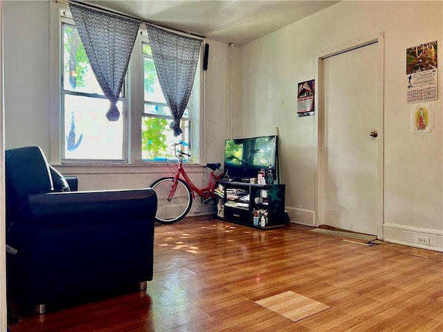 living area with wood finished floors