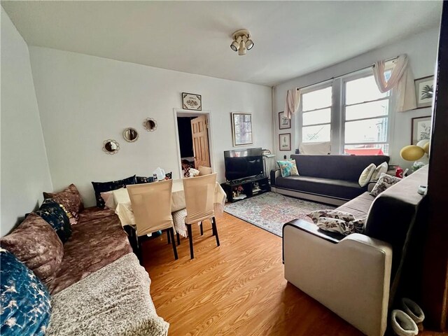 living room featuring wood-type flooring