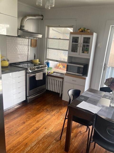 kitchen with appliances with stainless steel finishes, radiator, dark wood-type flooring, and white cabinets