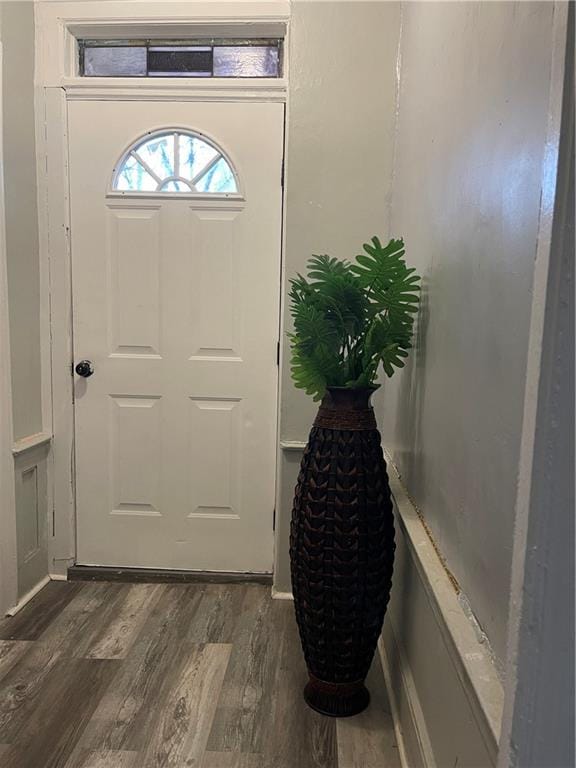 entryway featuring dark hardwood / wood-style floors