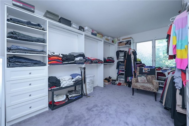 spacious closet with light carpet