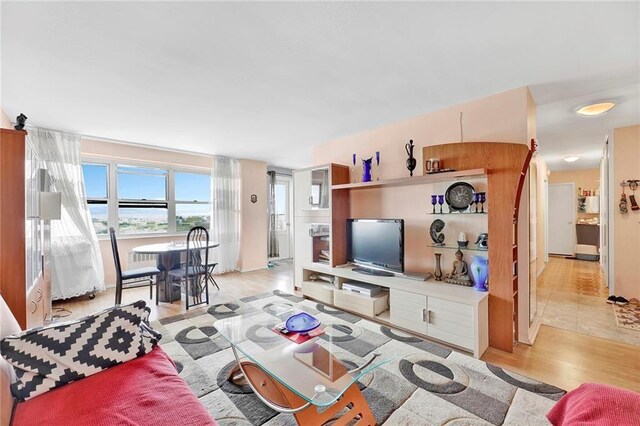 living room with light hardwood / wood-style flooring