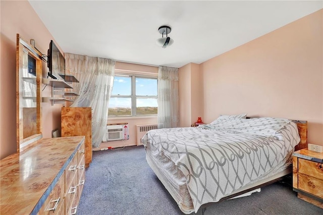 bedroom with radiator heating unit and dark carpet