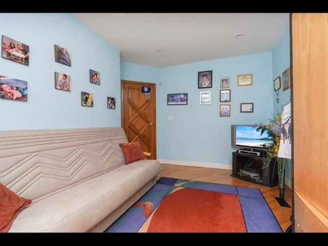 living room featuring light hardwood / wood-style flooring