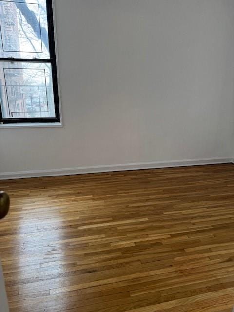 unfurnished room featuring a healthy amount of sunlight, baseboards, and wood finished floors