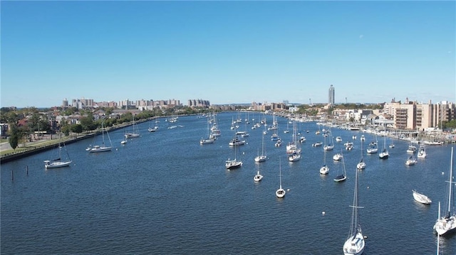 property view of water with a city view