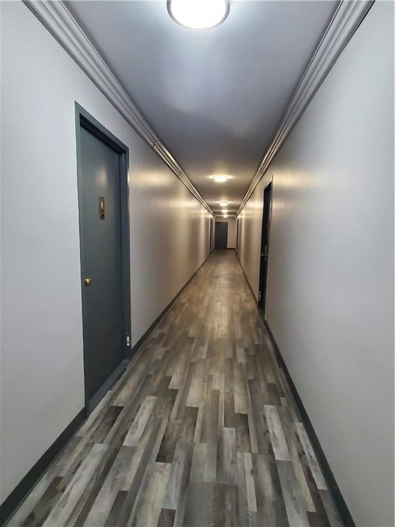 hallway with ornamental molding and dark hardwood / wood-style floors