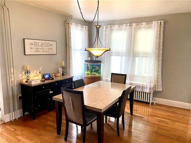 dining room featuring wood-type flooring and radiator