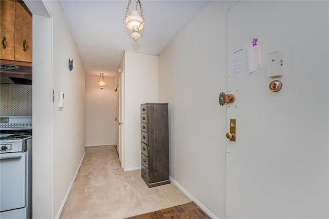2630 Cropsey Ave Unit 9K, Brooklyn, NY 11214 - hallway featuring baseboards and light carpet