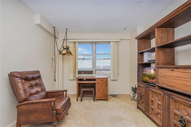 living area with light colored carpet