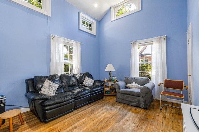 living room with high vaulted ceiling, light hardwood / wood-style floors, and a healthy amount of sunlight