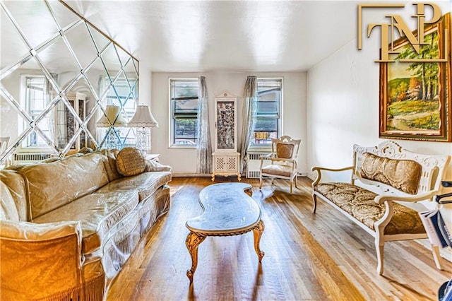 living room featuring hardwood / wood-style flooring