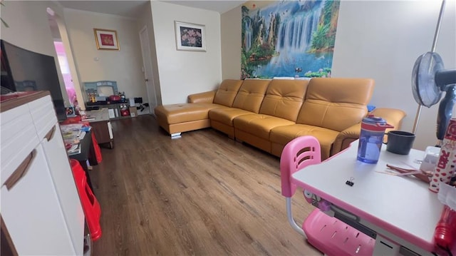 living area featuring wood finished floors