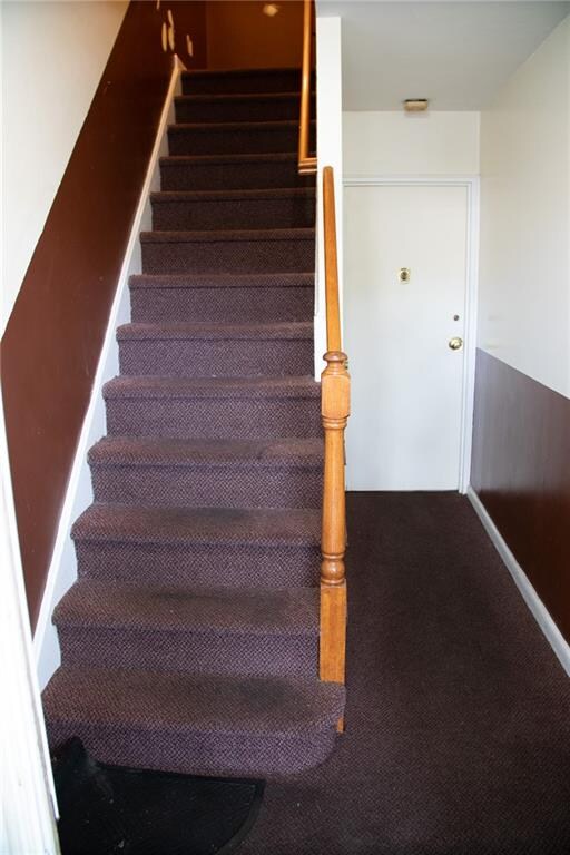 staircase with carpet