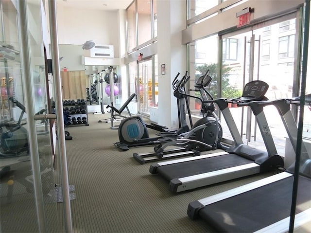 exercise room featuring carpet and a towering ceiling