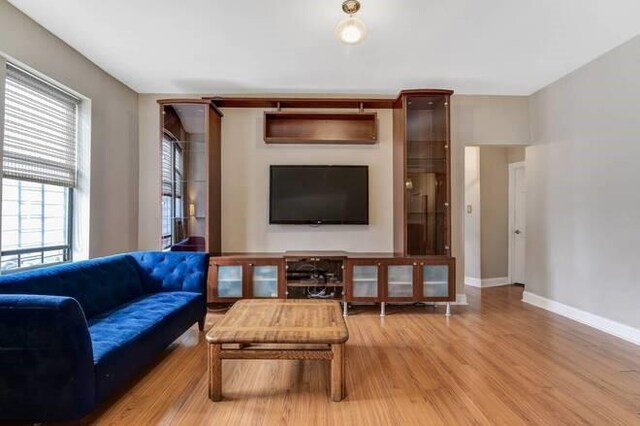 living room with light hardwood / wood-style floors