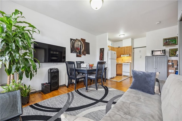 living room featuring light wood-type flooring