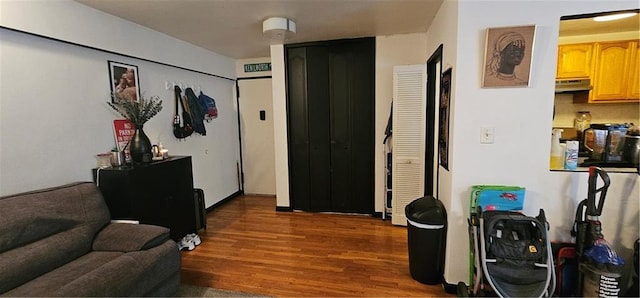 entrance foyer featuring wood finished floors