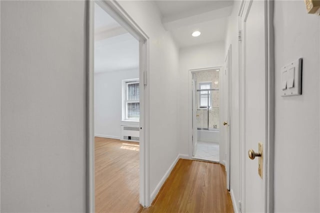 corridor featuring radiator heating unit and light hardwood / wood-style floors