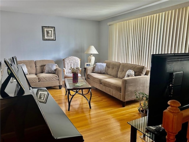 living room featuring light hardwood / wood-style floors