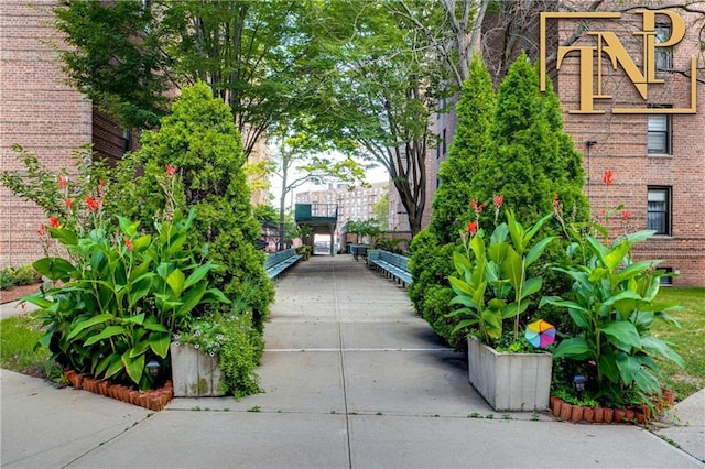 2229 Knapp St Unit 2A, Brooklyn, NY 11229 - view of property's community
