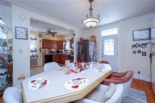 dining area featuring a ceiling fan and light wood-type flooring