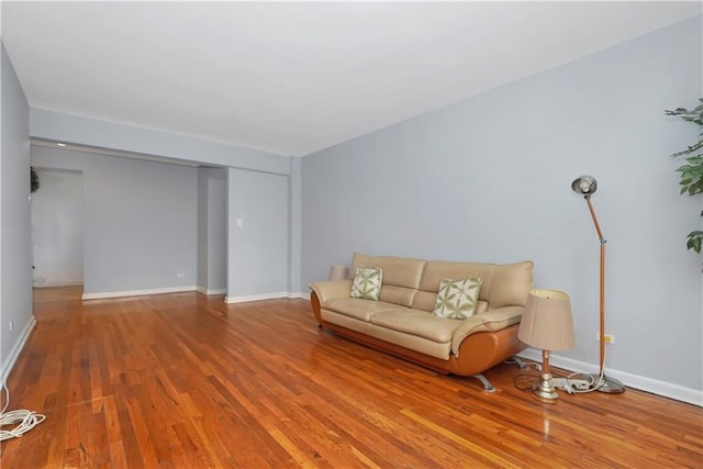 living room featuring wood-type flooring