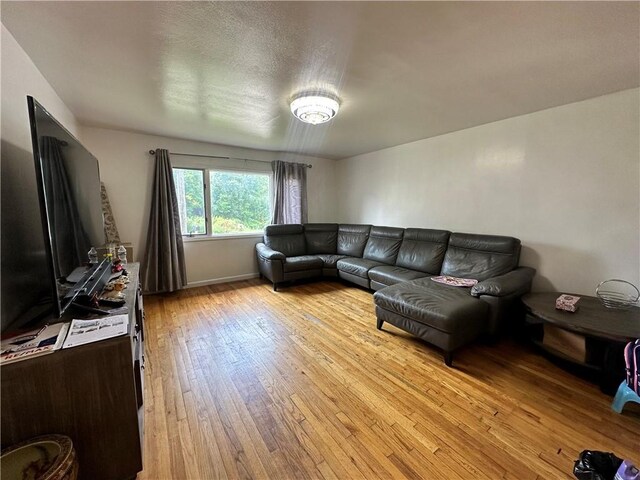 living room featuring light hardwood / wood-style flooring